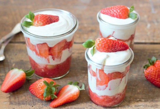 강아지 장건강 유산균