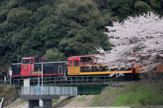 교토/사가노 토롯코 열차 티켓 예매(예약)/가격, 가는법, 운행일/시간표, 맛집까지 총정리!