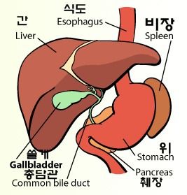 비장이란
