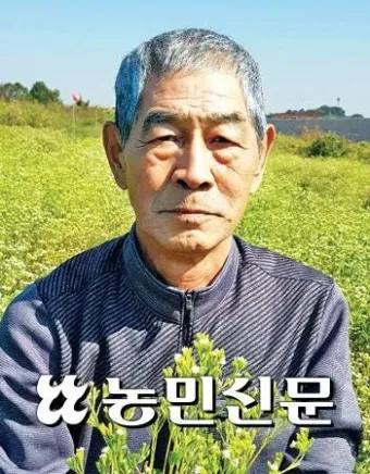 스테비아 재배 삽목 요령 단맛 유지 잎 건조_10