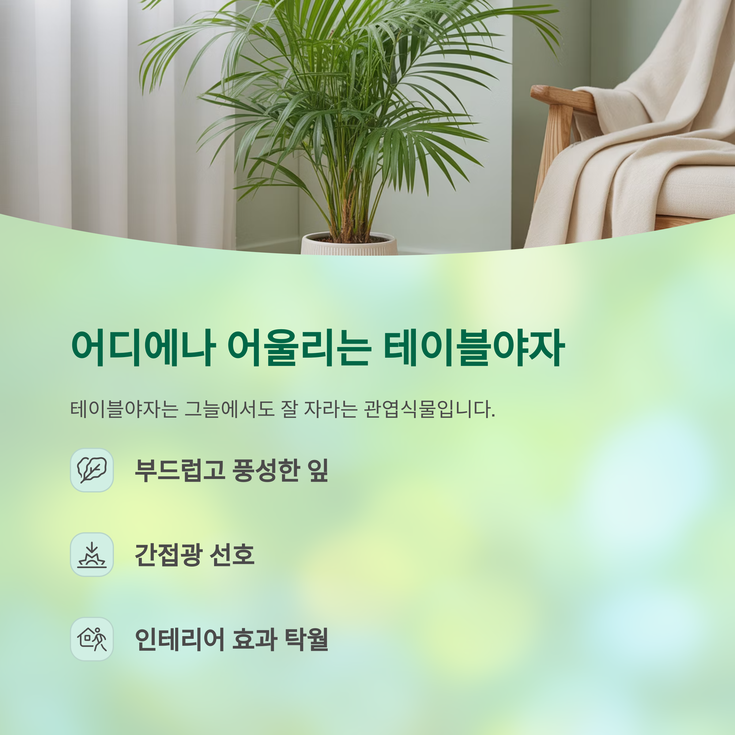 어디에나 어울리는 테이블야자