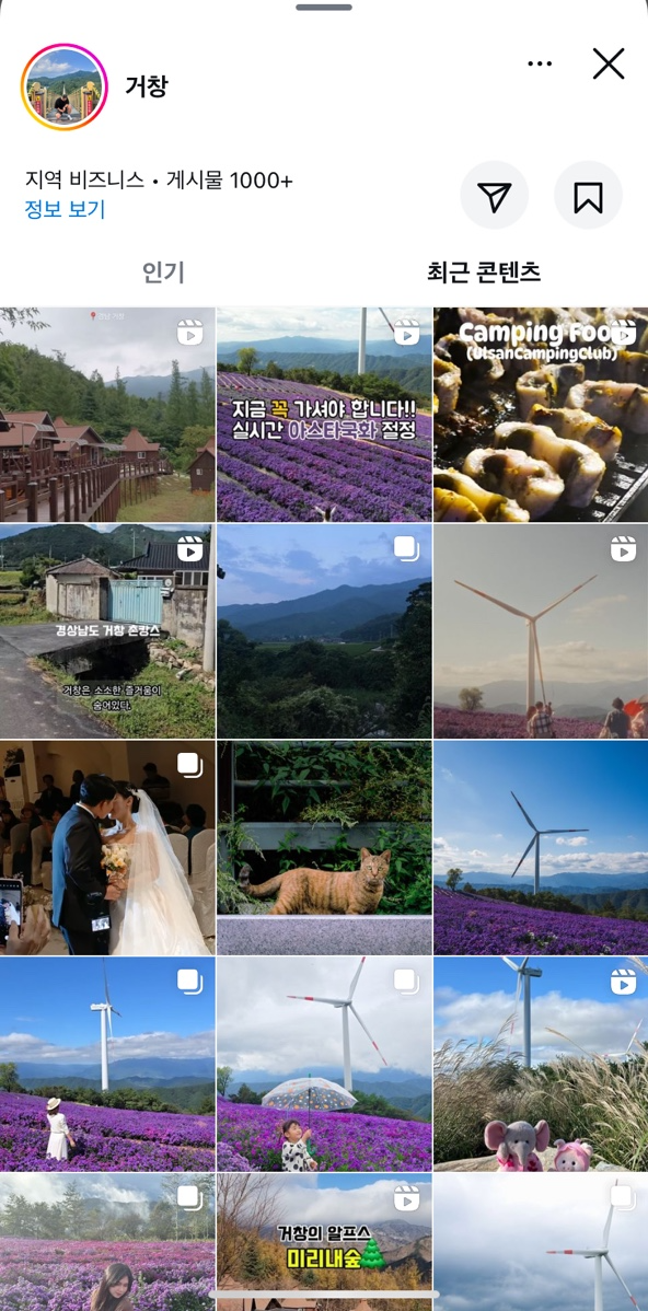 거창 인스타그램 최근 게시물