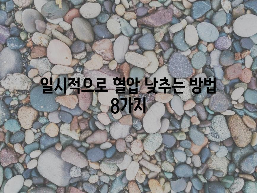 샘플 (82)