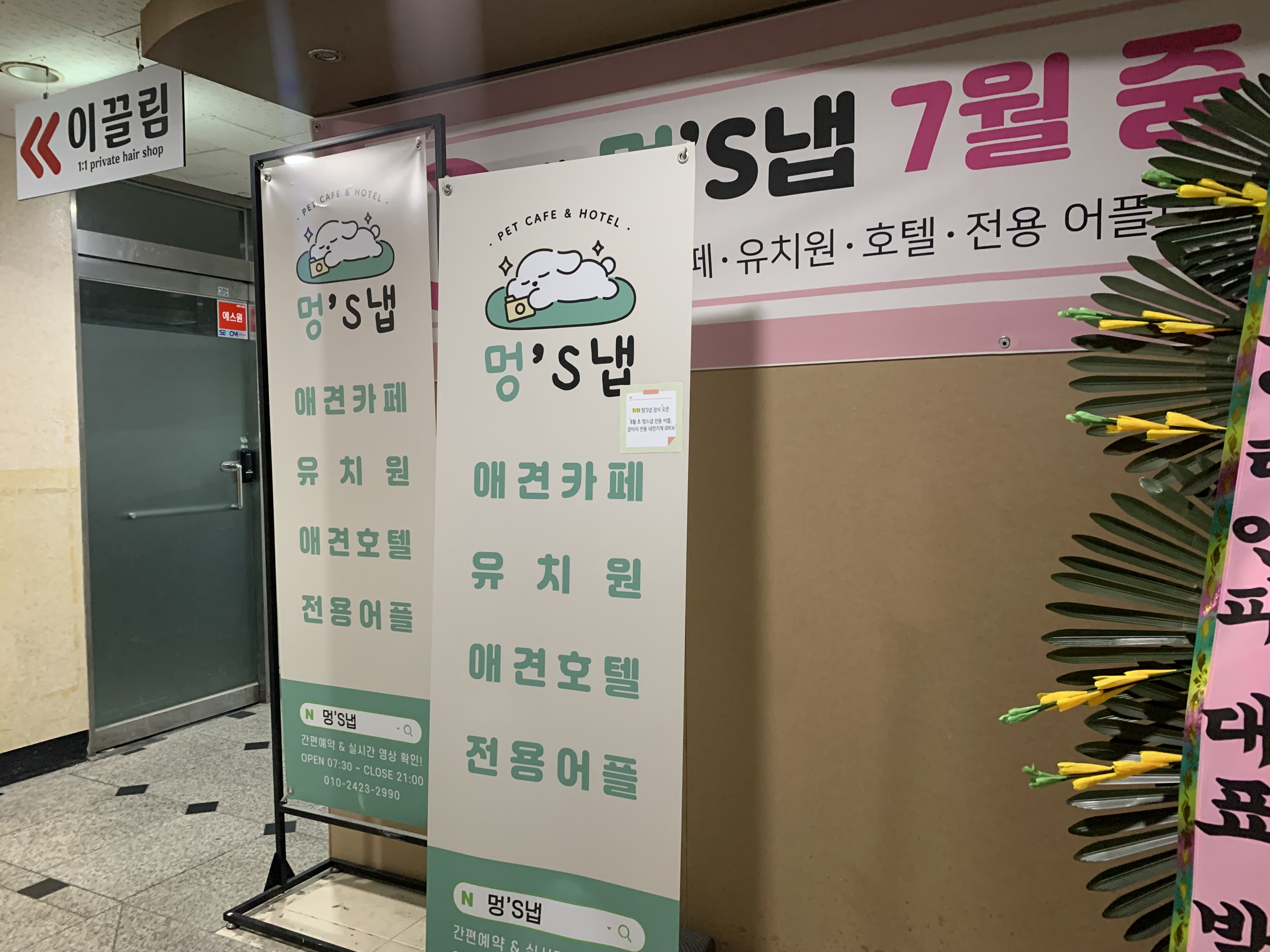 부천 부천시청 애견카페 애견유치원 애견호텔 멍스냅