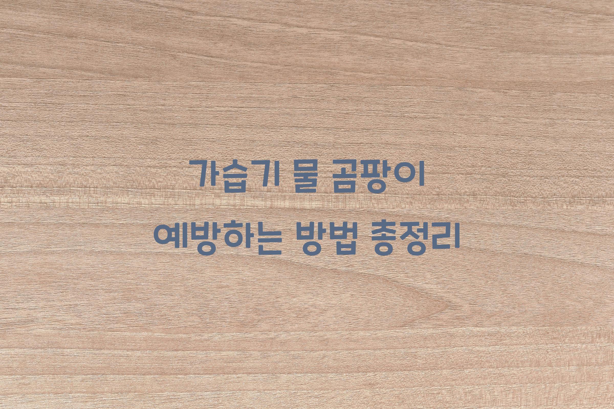 가습기 물 곰팡이 예방하는 방법