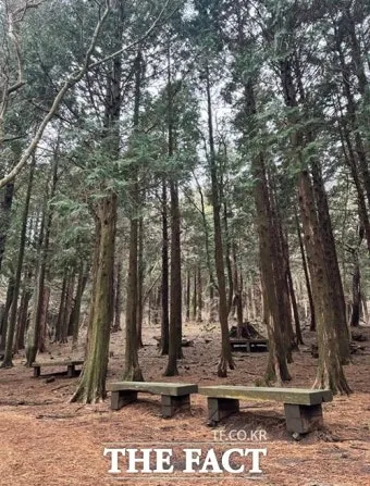 걷기좋은 명품 숲길 30선 숨겨진 코스_19