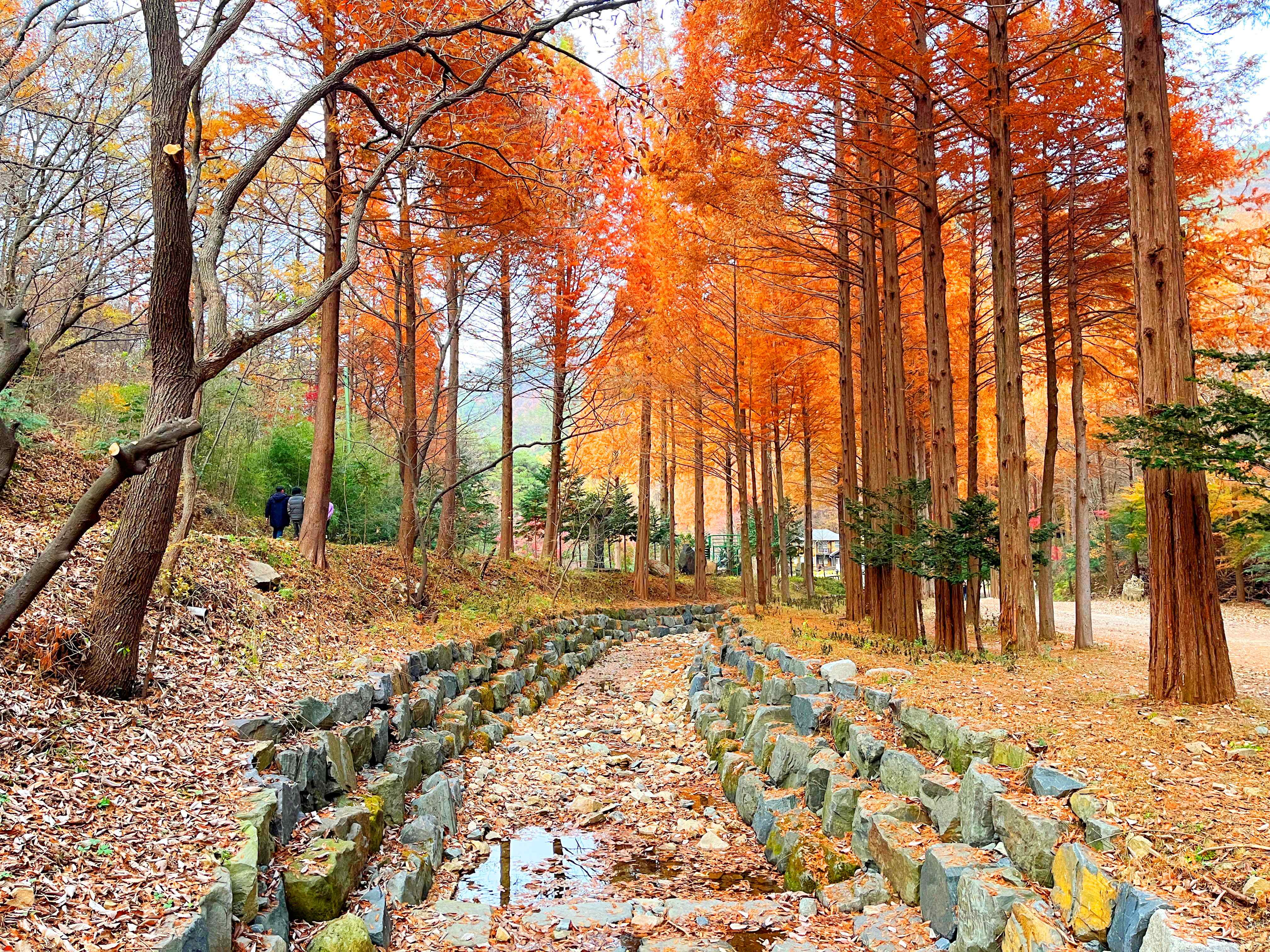 온빛자연휴양림