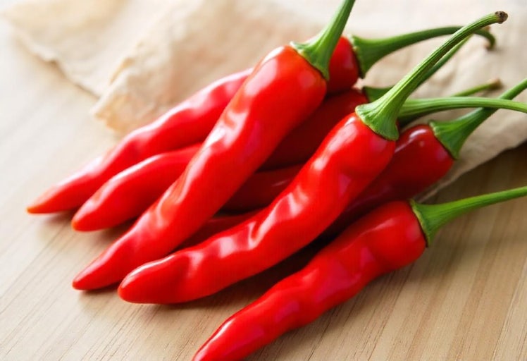 전립선에 좋은 음식