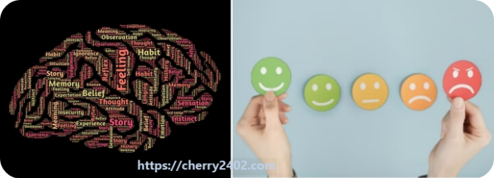 뇌와 감정의 상호작용