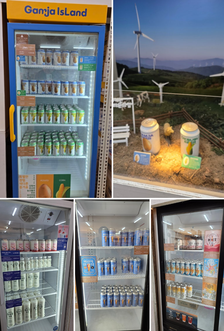 5세 아이와 함께한 대관령 삼양라운드힐