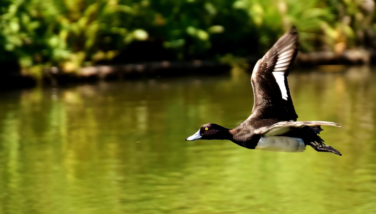 퇴직연금 의무화 법안