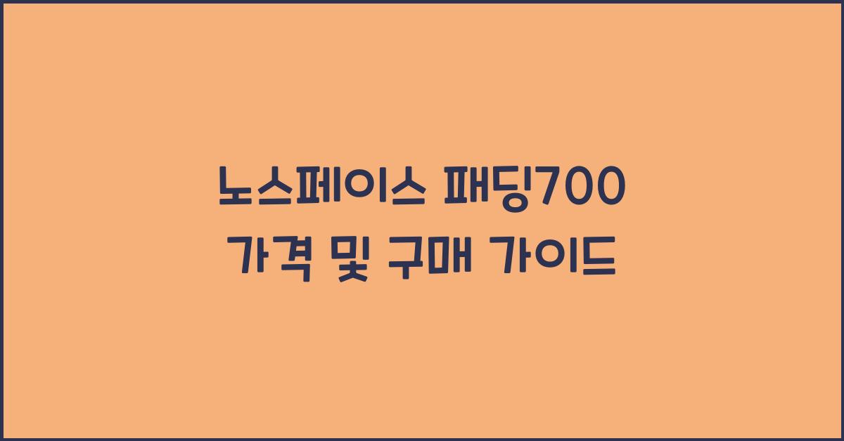 노스페이스 패딩700 가격