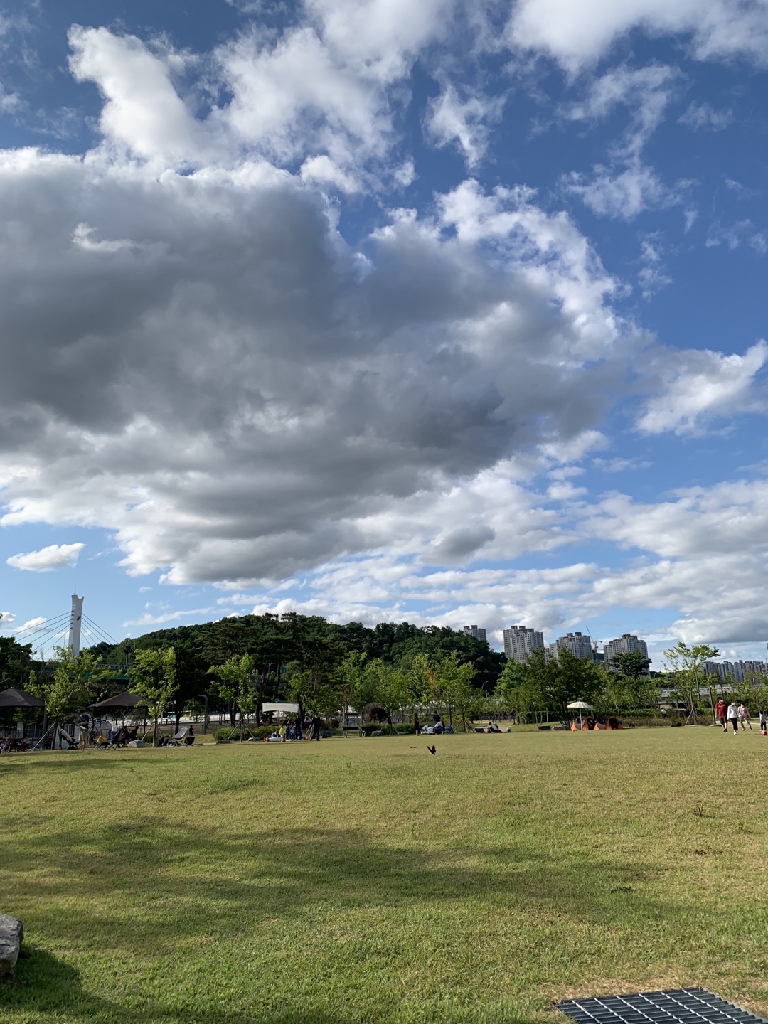 기흥호수공원 잔디광장