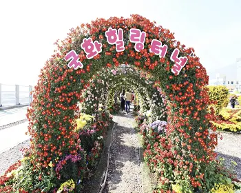 마산 가고파 국화축제_25