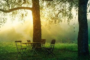 2024년 무료운세