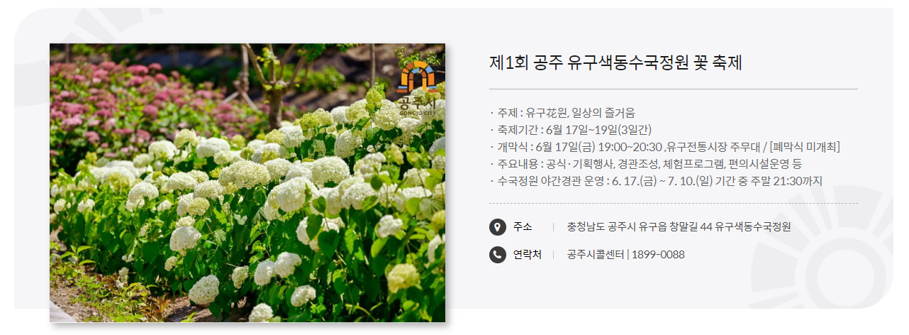 공주 유구 색동 수국정원 꽃축제 소개