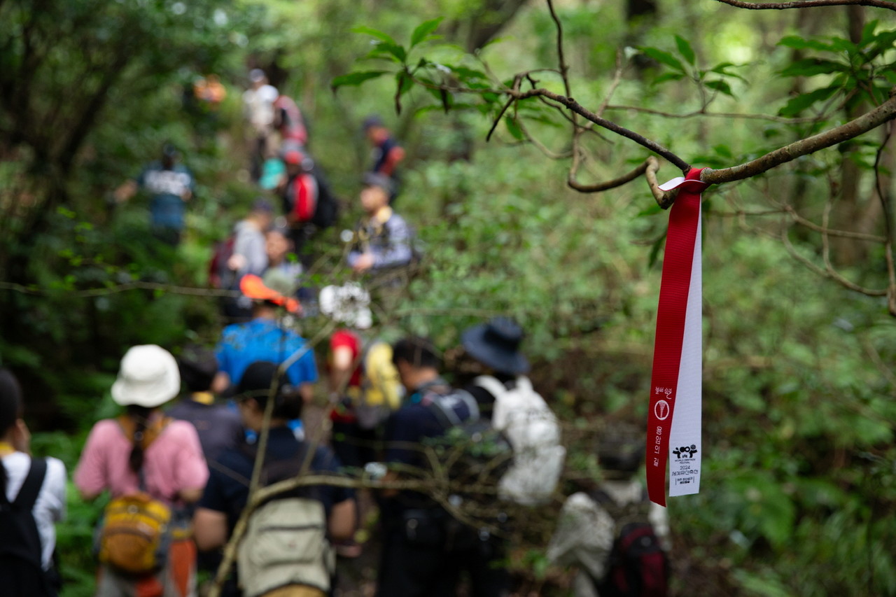 한라산 탐방예약, 백록샘 2일동안 100명에게만 허락