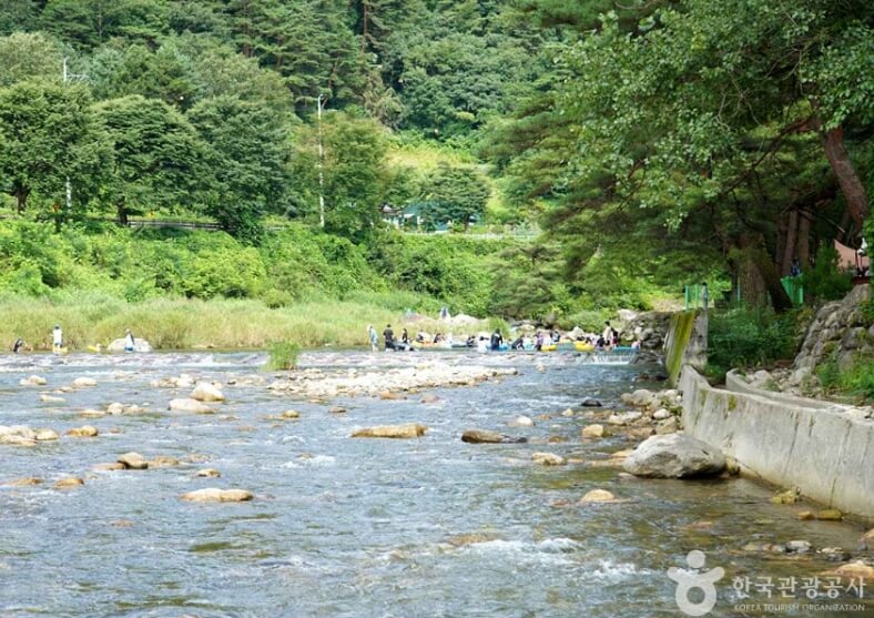 영월 가볼만한곳 베스트 10