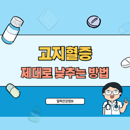 고지혈증-낮추는-법