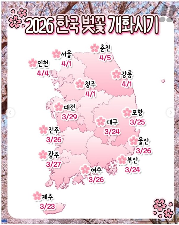 벚꽃개화시기
