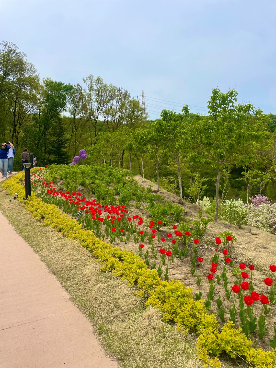 용인 자작나무숲 베툴라 대형 베이커피 카페