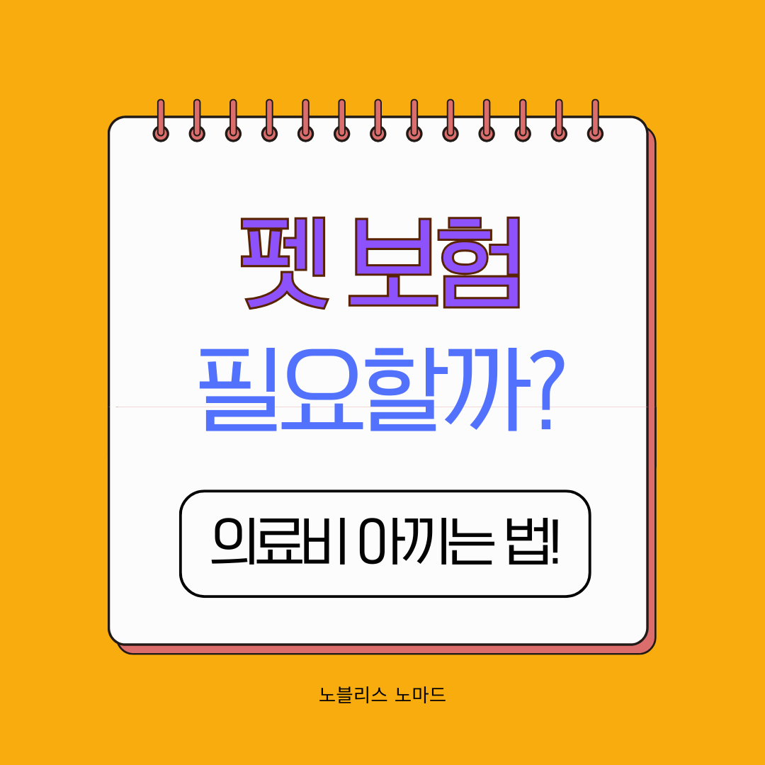 펫보험, 정말 필요할까? 반려견·반려묘 의료비 아끼는 법