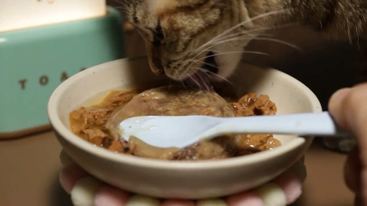 이나바 마구로쥬레 참치앤가다랑어