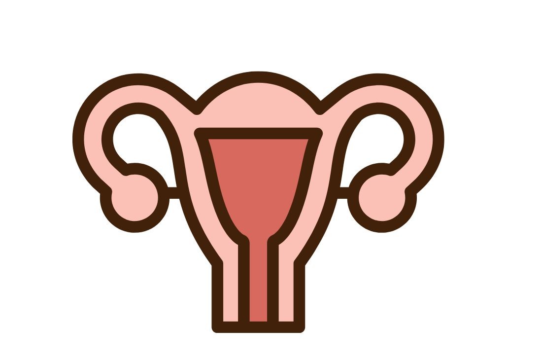 여성 자궁 이미지