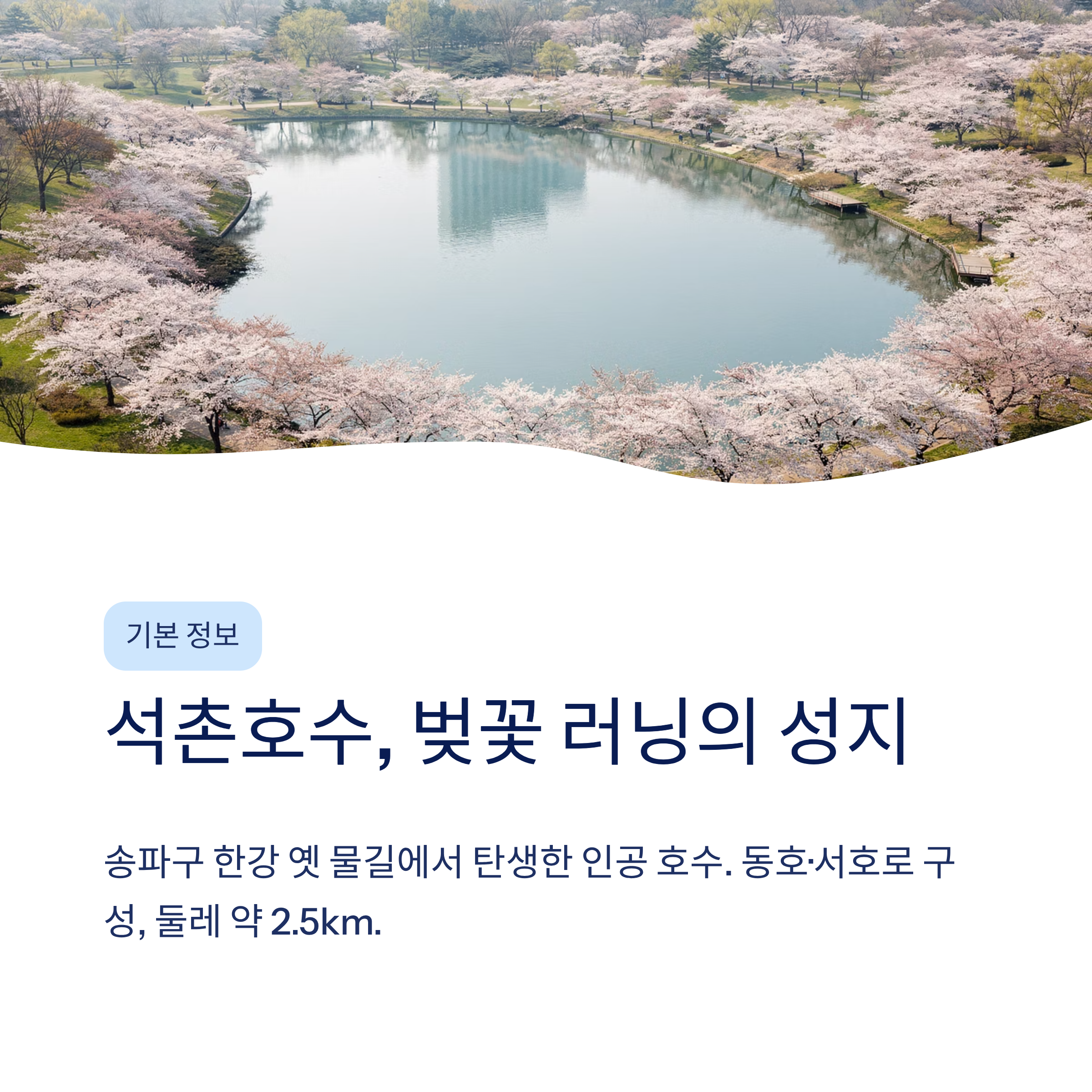 석촌호수 벚꽃 달리기 산책 코스 완벽 가이드❘2026 벚꽃축제·러닝·야경까지 총정리