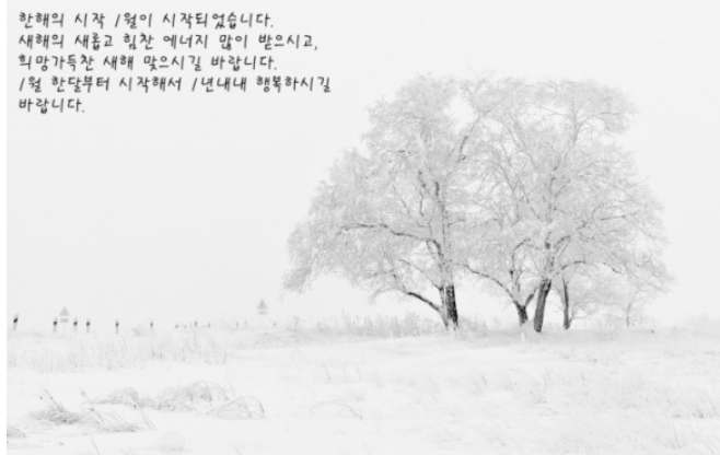 1월인사말-사진7