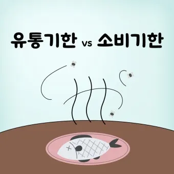 유통기한 구분 소비기한 품질유지기한 보관온도 버리는 기준_9