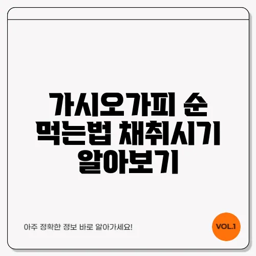 가시오가피 순 먹는법 채취시기 알아보기