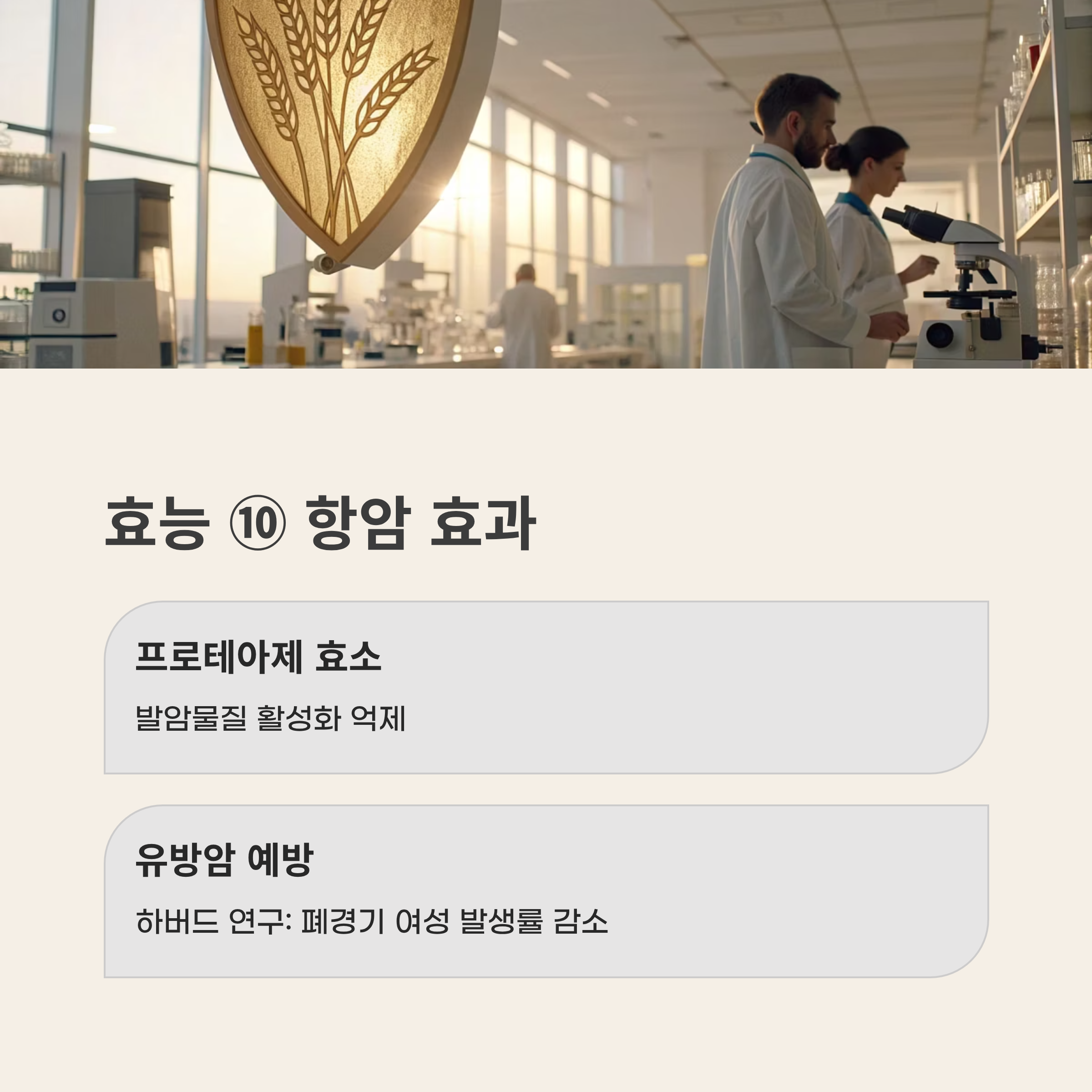 귀리 효능과 부작용 2025 완벽 가이드 &ndash; 슈퍼푸드 효능과 숨겨진 함정 총정리!