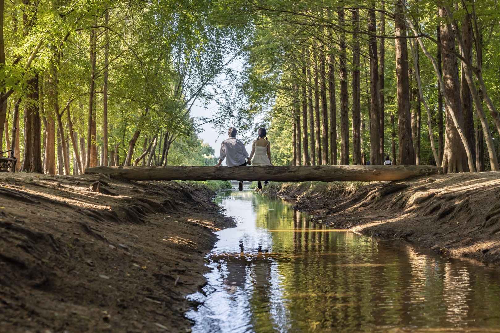 경북천년숲정원