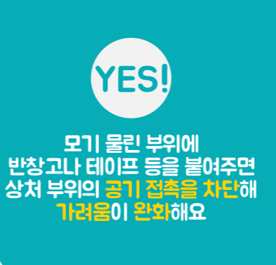공기 접촉 차단