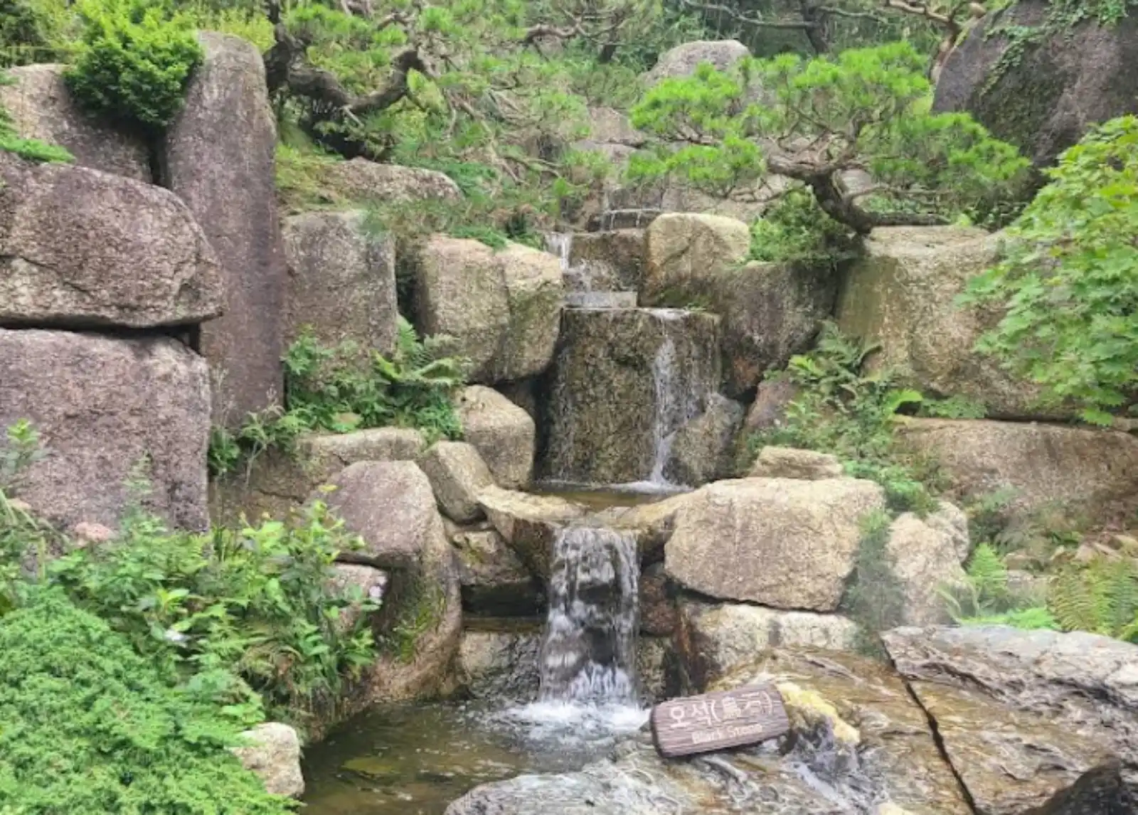 관련이미지