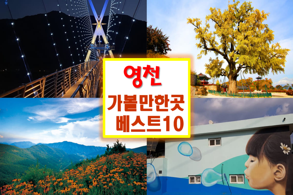 영천 가볼만한곳 베스트10