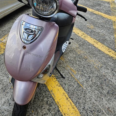 50cc스쿠터 보험