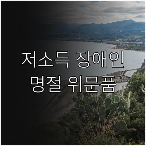 울산 남구 2025 저소득 장애인 대..