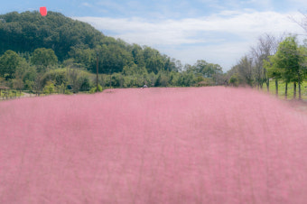 6시 내고향에 나온 함안 강변횟집, 정말 맛있을까?