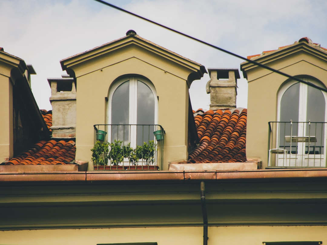 shingles