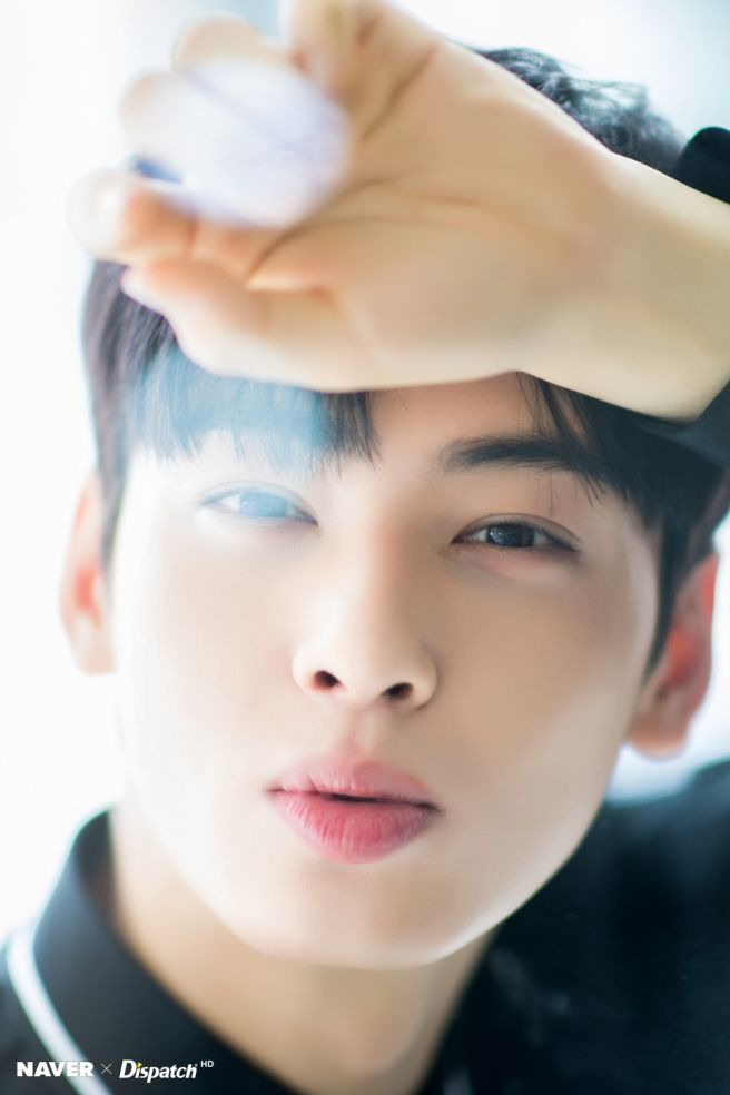 차은우 조세심판 청구 이유: 국세청 130억 세금 완납, 연예인 1인 기획사 실질과세 쟁점 정밀 분석