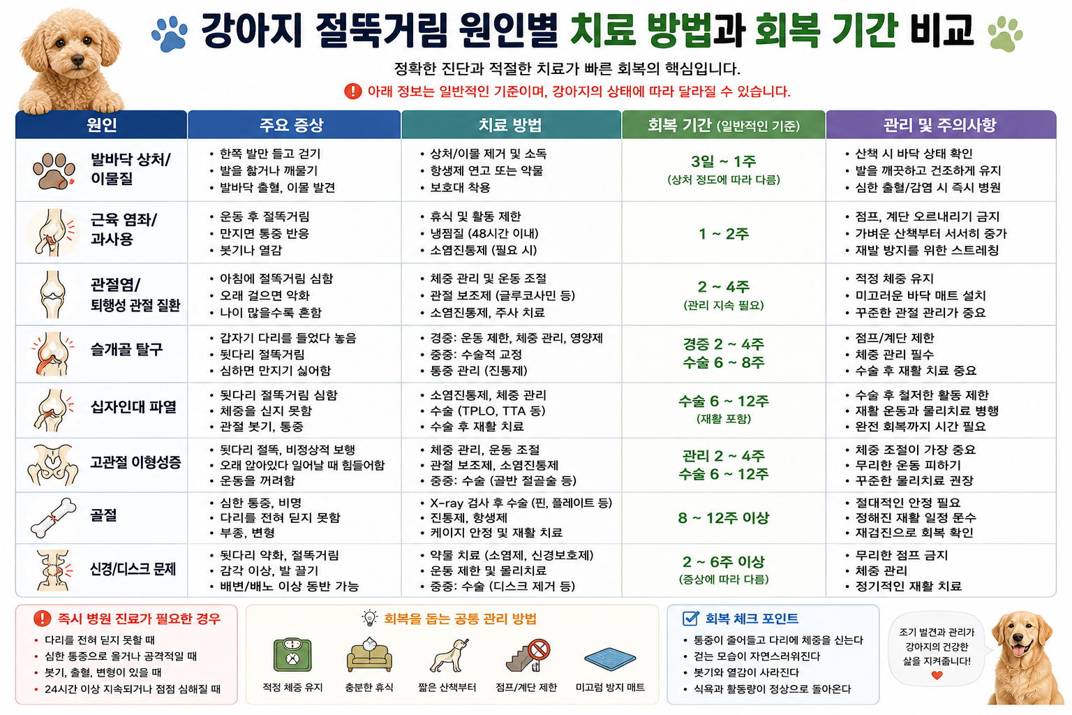 강아지 절뚝거림 원인별 치료 방법과 회복 기간 비교 이미지, 강아지 절뚝 치료, 절뚝 회복기간, 슬개골 탈구 치료, 십자인대 파열 회복, 관절염 관리, 고관절 질환 치료, 골절 회복, 강아지 다리 절뚝 치료법