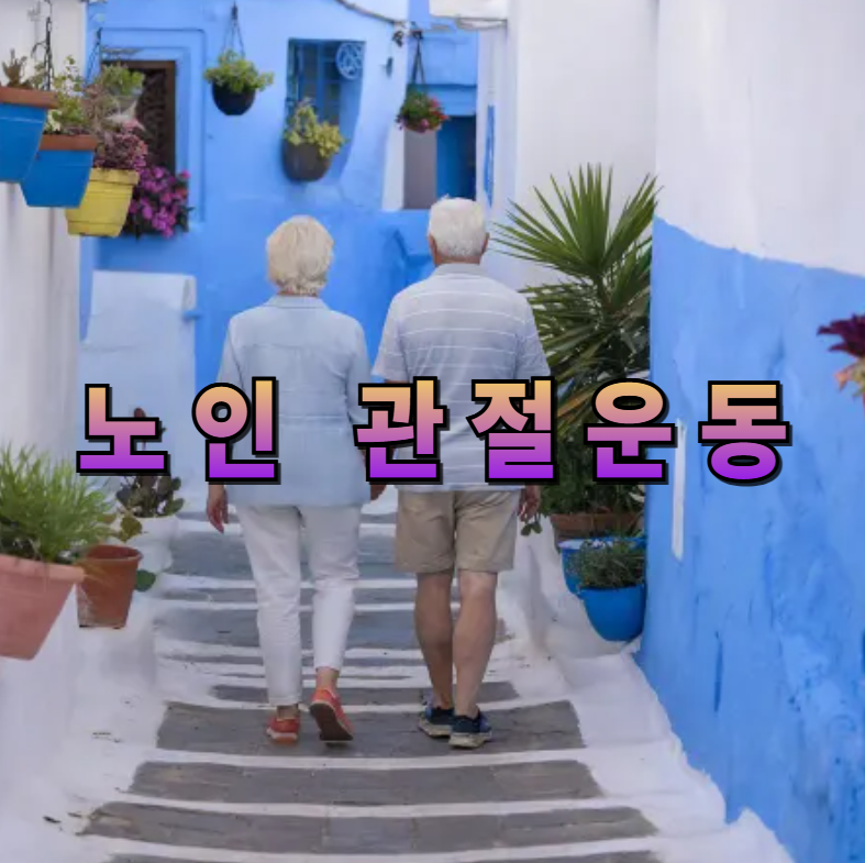 노인관절운동, 관절건강, 노인운동루틴, 무릎건강, 허리운동, 집에서하는운동, 실버운동, 걷기운동, 스트레칭, 건강한노후
