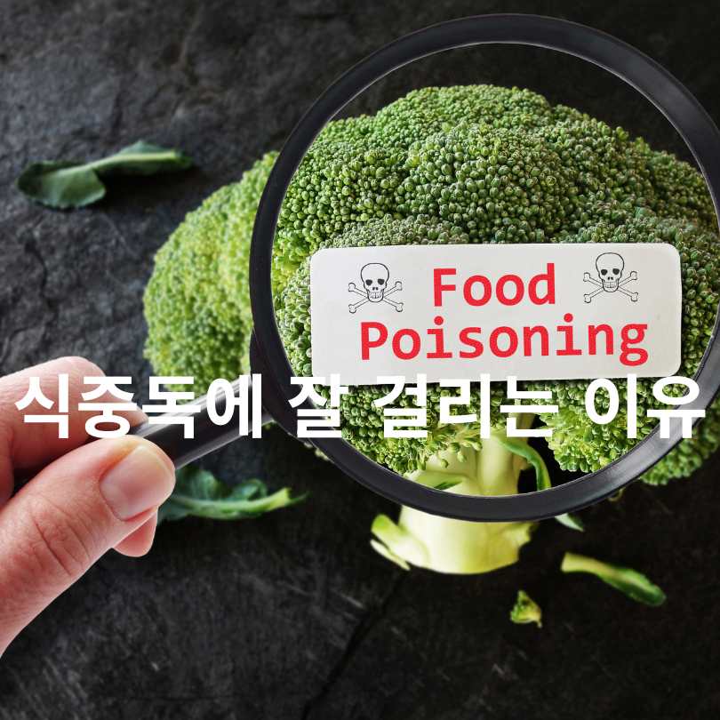 식중독 증상과 식중독 예방 6대 수칙