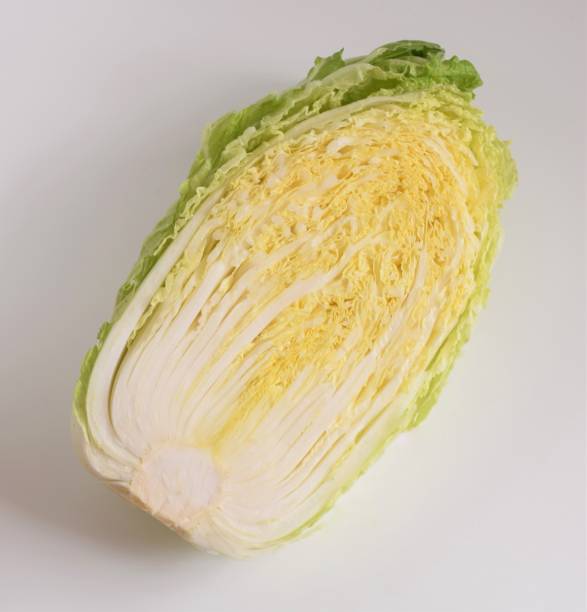 김장김치