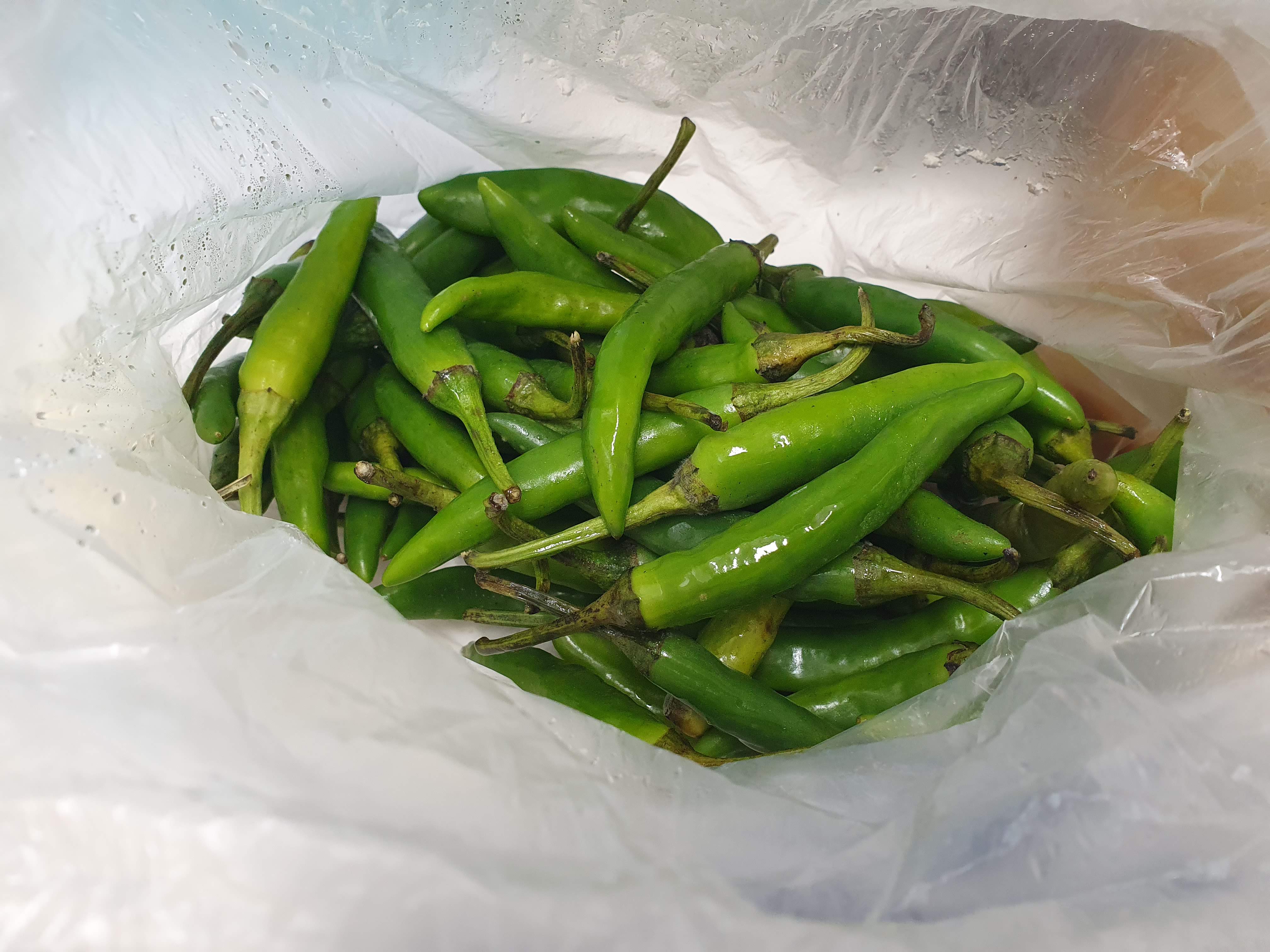 청양고추 보관법