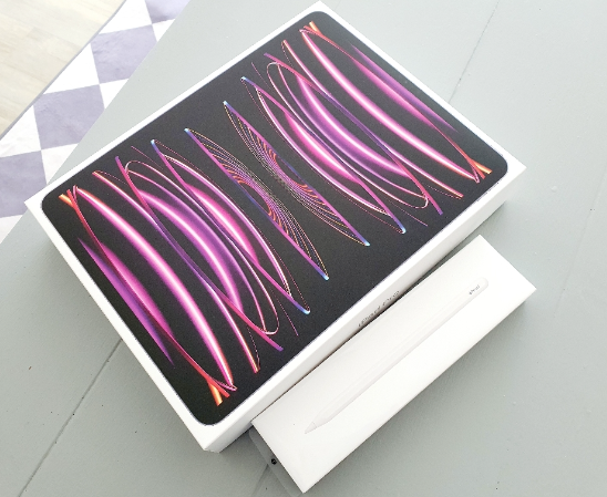 아이패드 프로 12.9 6세대