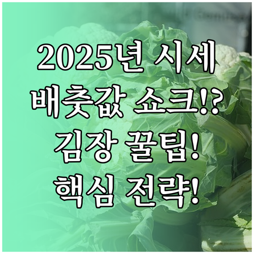 2025년 김장 배추 도매 가격 동향..