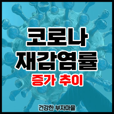 코로나 재감염률